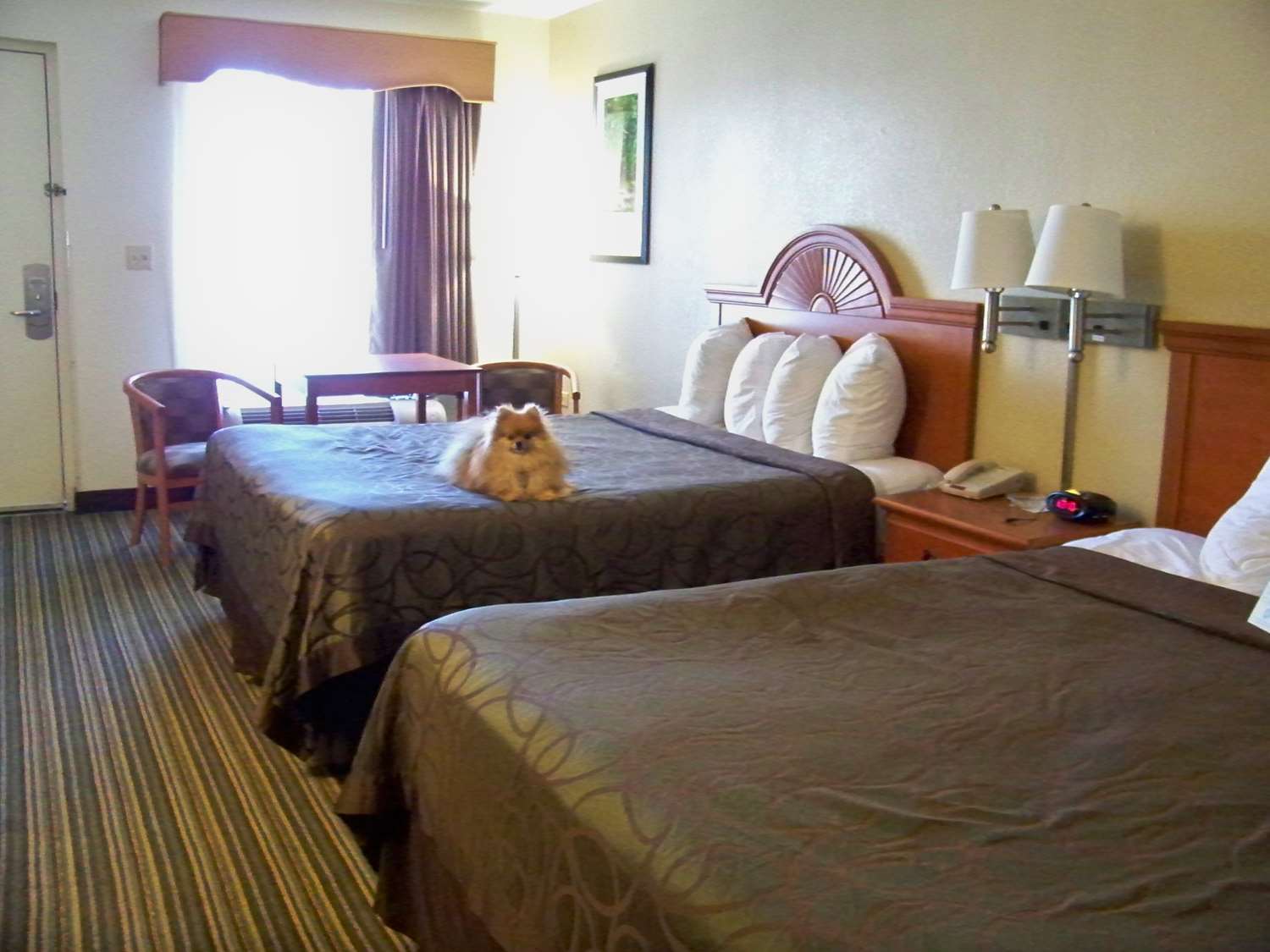 Best Western Of Murphy Eksteriør bilde
